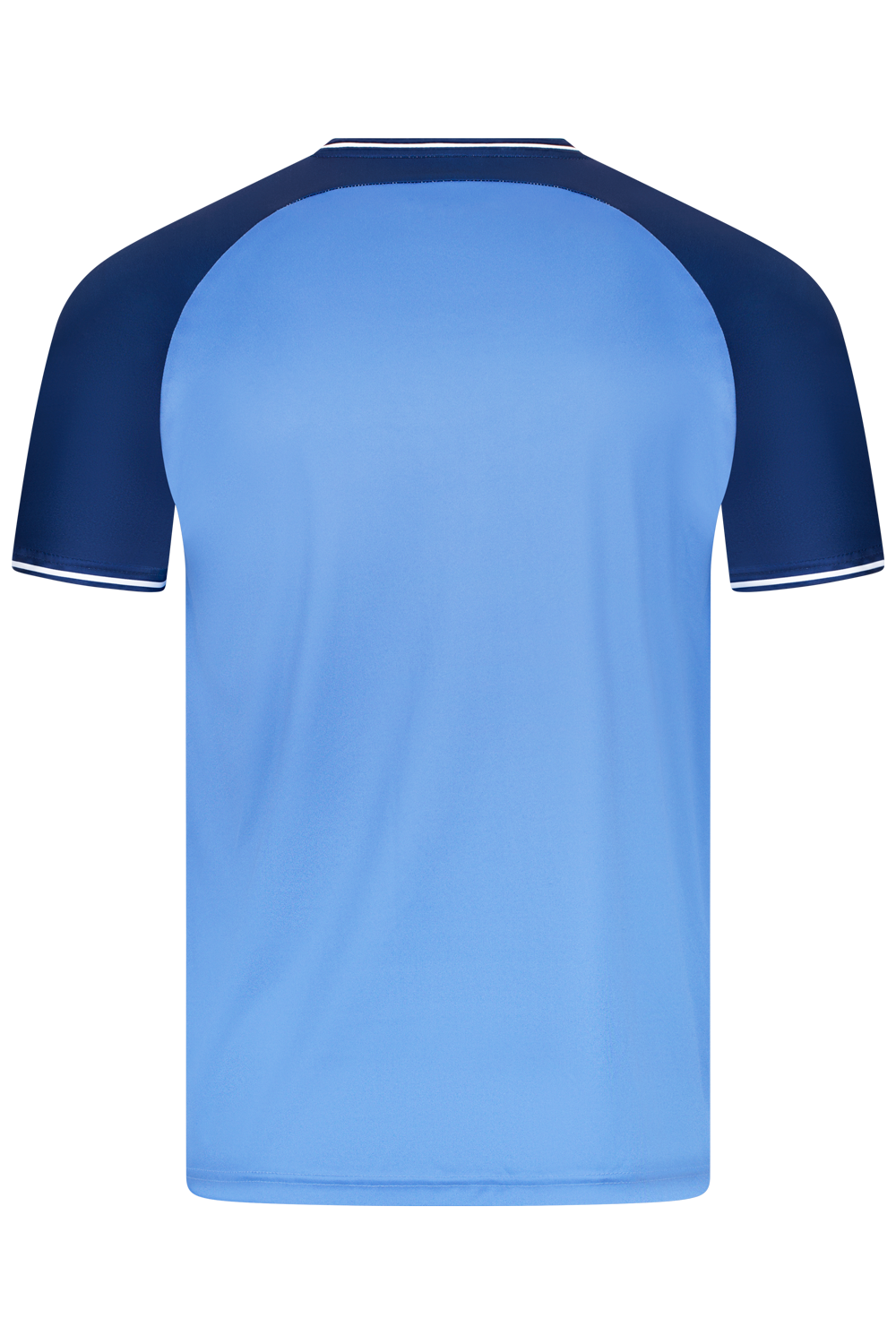 VICTOR T-Shirt T-63100 B